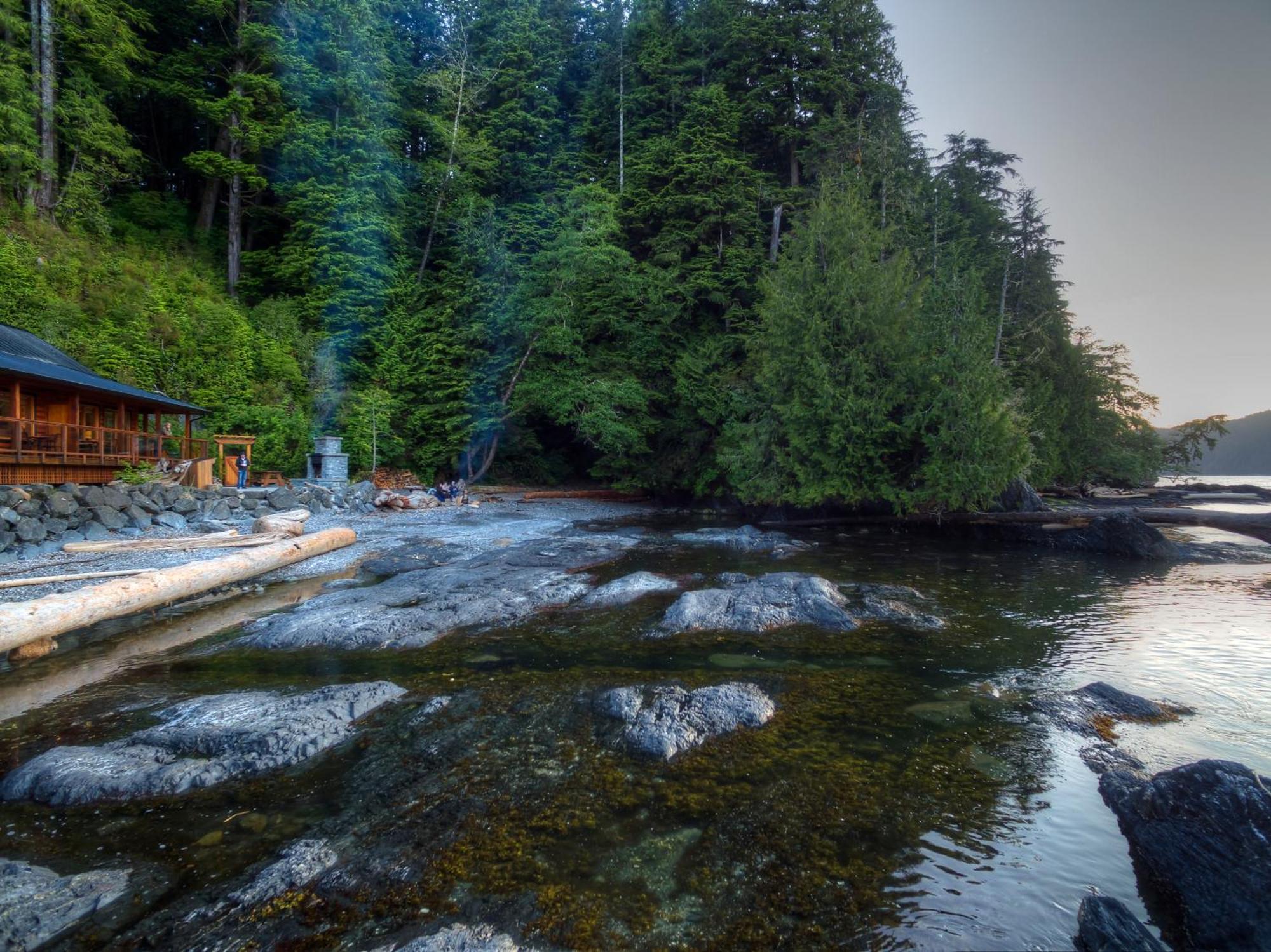 Wild Renfrew Seaside Cottages Port Renfrew Quarto foto